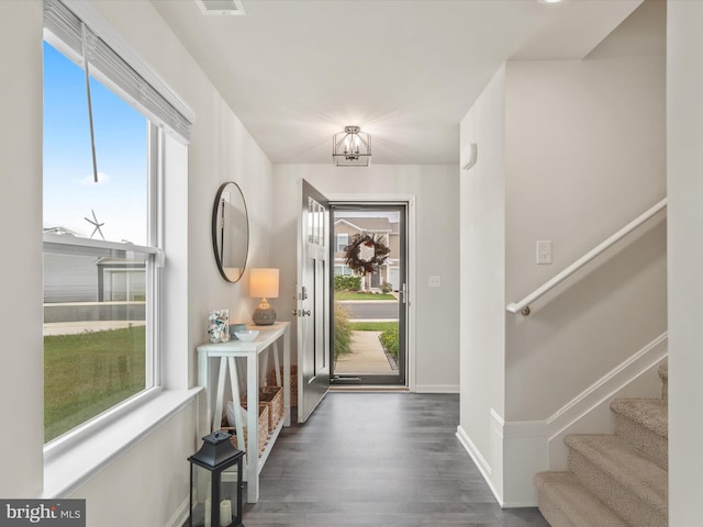 foyer entrance with a healthy amount of sunlight and dark hardwood / wood-style flooring