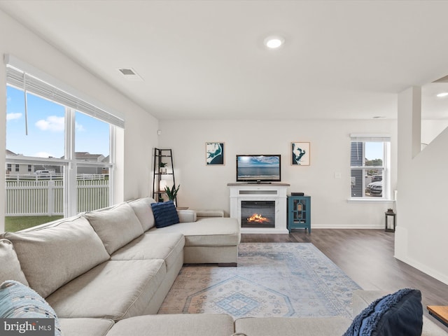 living room featuring wood-type flooring