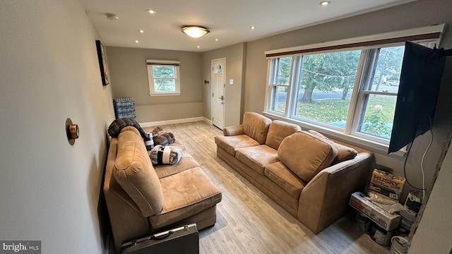 living room with light wood-type flooring