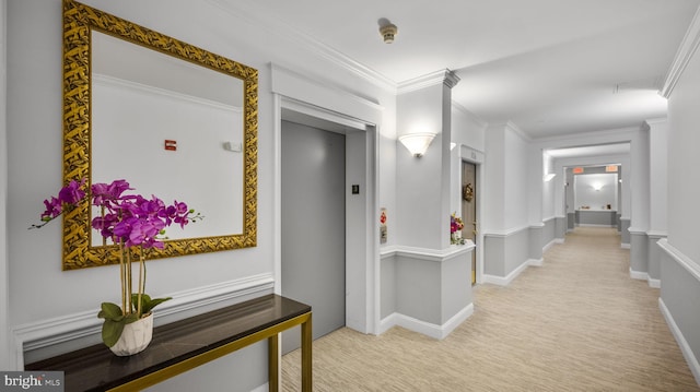 hallway featuring light colored carpet, ornamental molding, and elevator