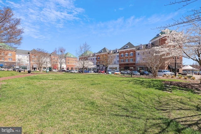 view of community featuring a lawn