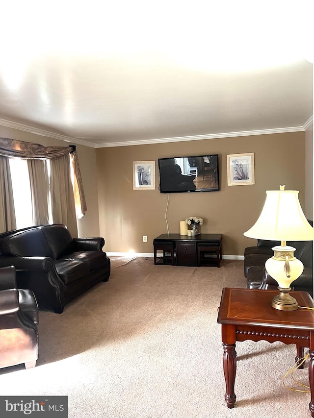 living room featuring carpet floors and ornamental molding