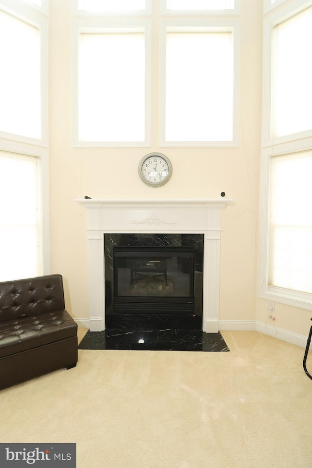 room details featuring carpet and a high end fireplace