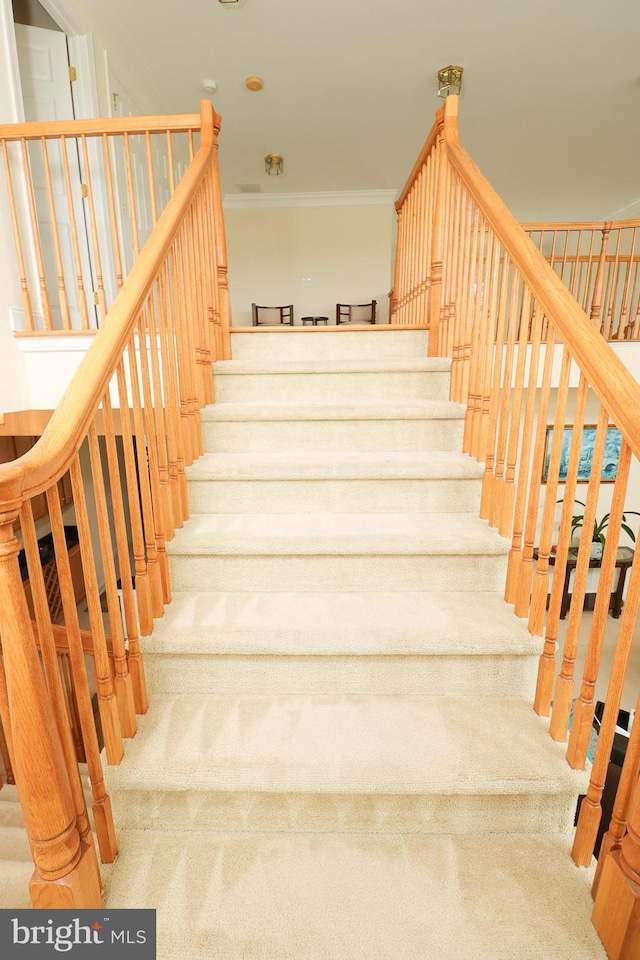 stairs with crown molding