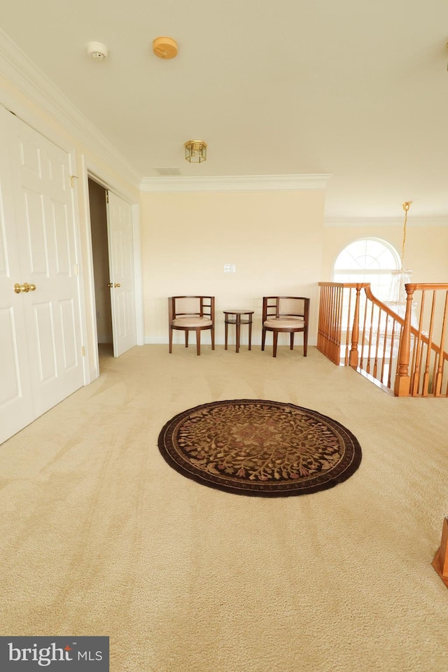 interior space with carpet floors and crown molding