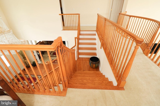 stairway with carpet