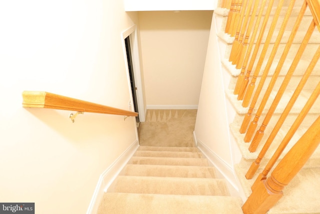 staircase featuring carpet