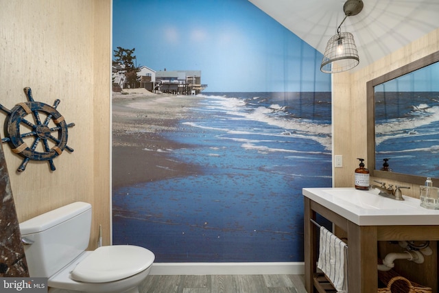 bathroom featuring hardwood / wood-style floors and toilet