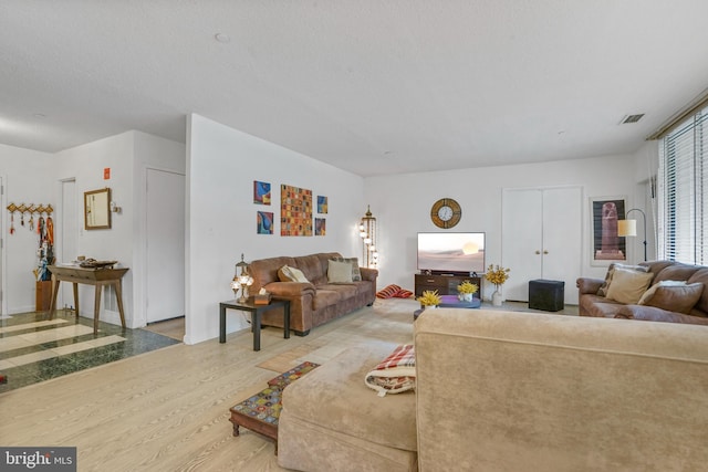 living room featuring light hardwood / wood-style floors