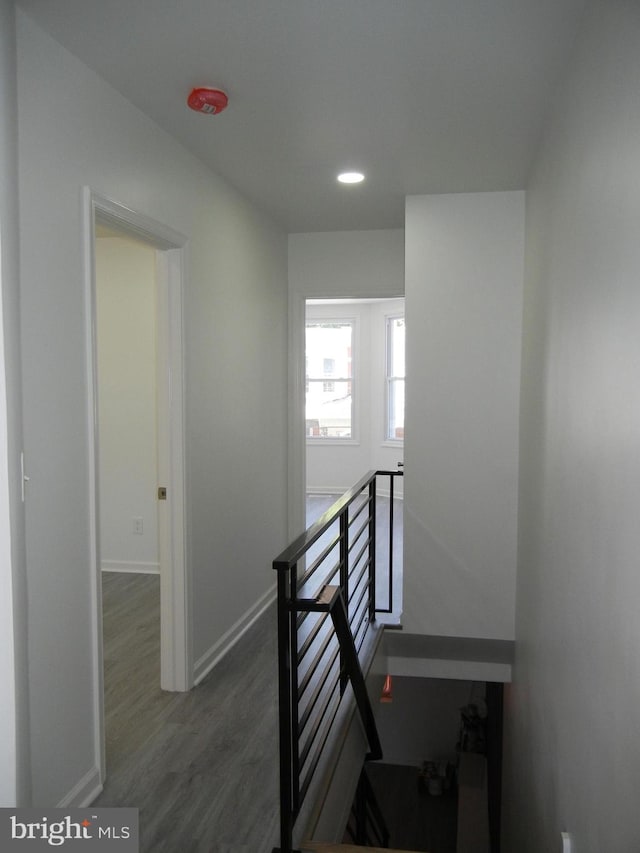 staircase with hardwood / wood-style floors