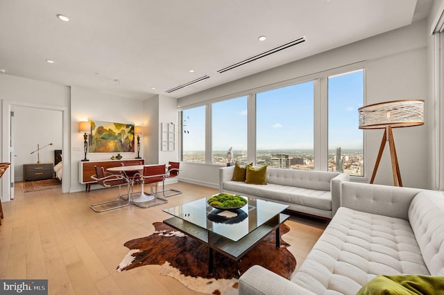 living room with light hardwood / wood-style floors and a wealth of natural light