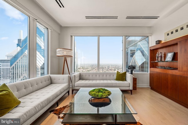 living room featuring a healthy amount of sunlight and light hardwood / wood-style flooring