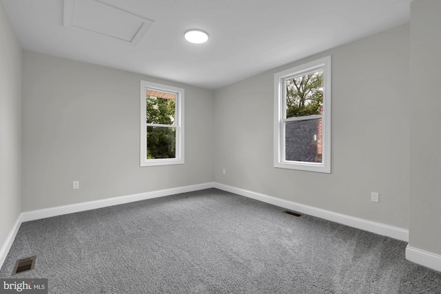 empty room with carpet floors and plenty of natural light