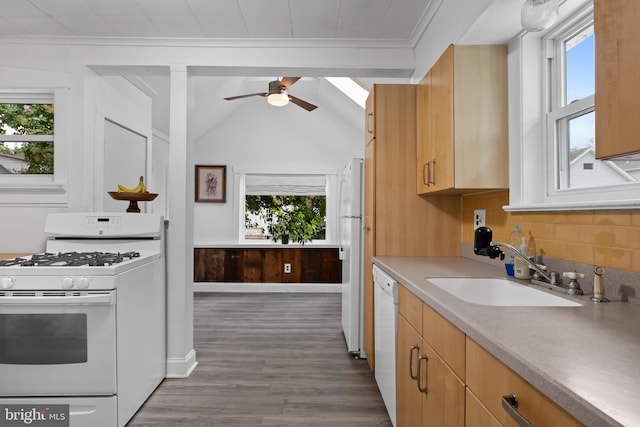 kitchen featuring a healthy amount of sunlight, white appliances, and sink