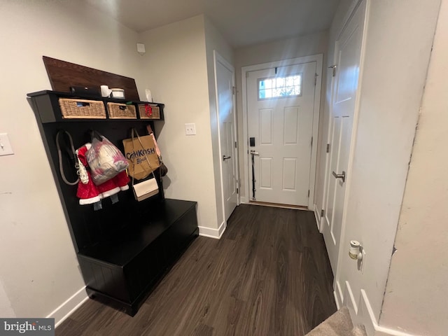 mudroom featuring dark hardwood / wood-style floors