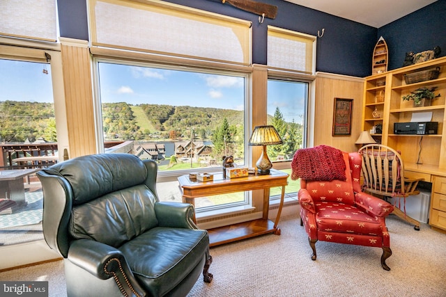 living area featuring carpet flooring and plenty of natural light