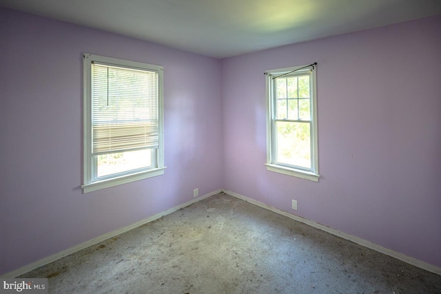 spare room featuring light carpet