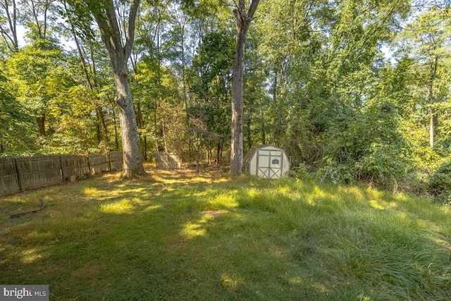 view of yard featuring a shed