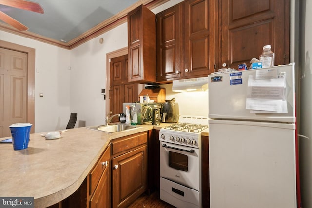 kitchen featuring ceiling fan, sink, kitchen peninsula, ornamental molding, and white appliances