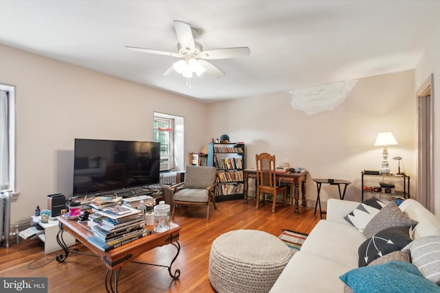 living room with radiator heating unit, ceiling fan, and hardwood / wood-style floors