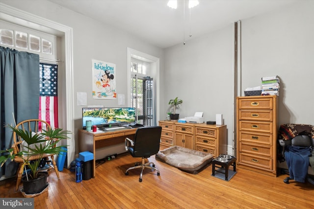 office space featuring light hardwood / wood-style flooring