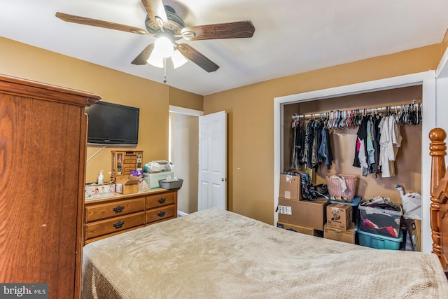 bedroom with a closet and ceiling fan