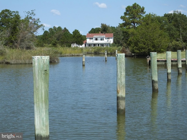water view with a dock