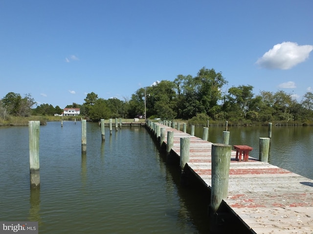 dock area with a water view