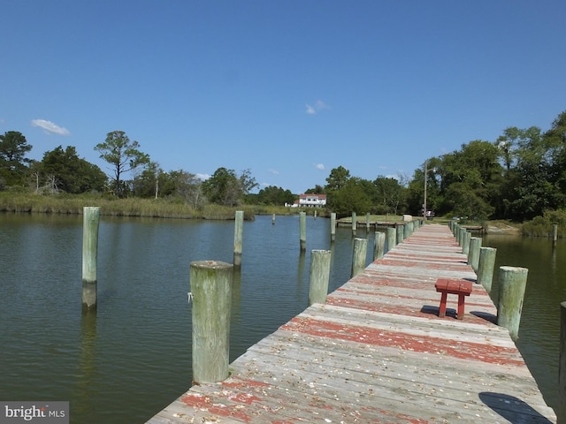 dock area with a water view