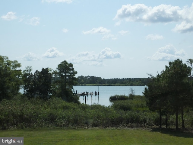 view of water feature