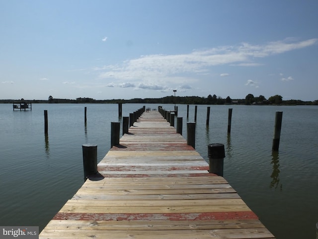 dock area with a water view