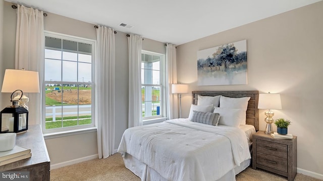 bedroom with light carpet and multiple windows