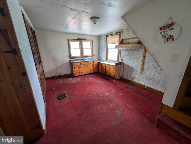 additional living space featuring sink and dark colored carpet