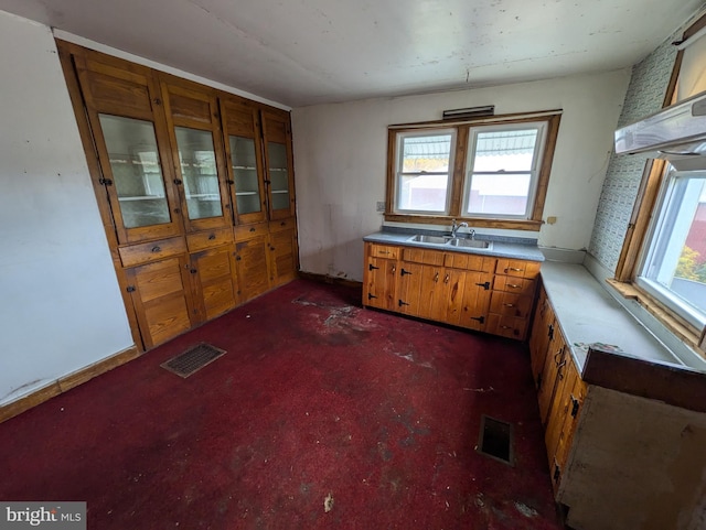 interior space featuring sink and dark carpet