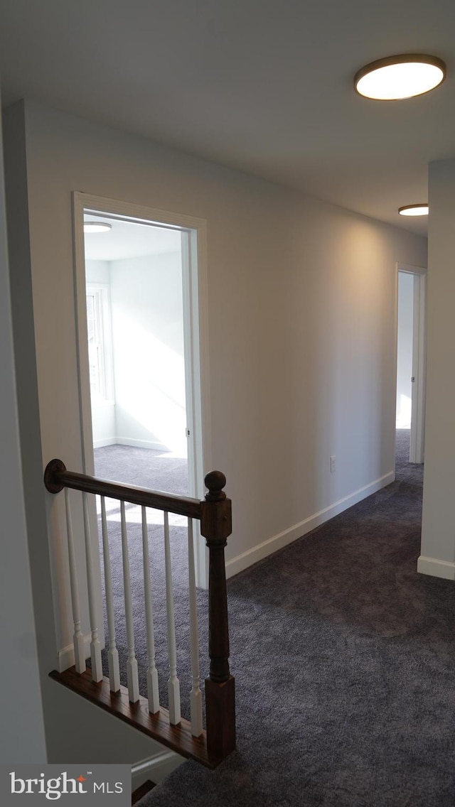 staircase featuring carpet flooring