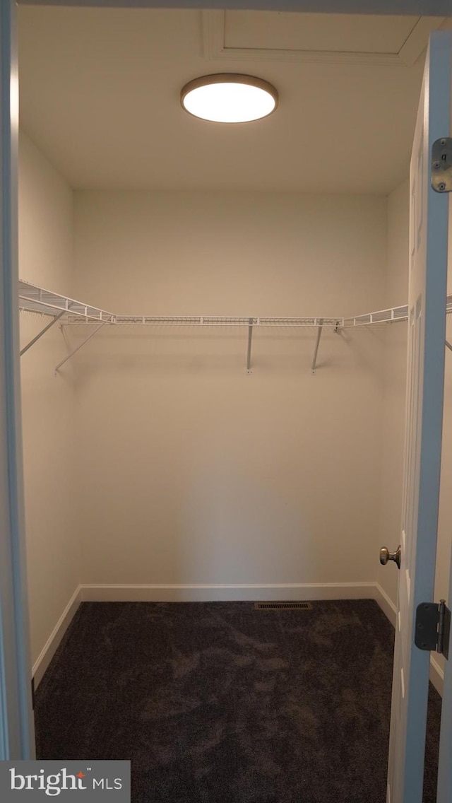 spacious closet with carpet floors