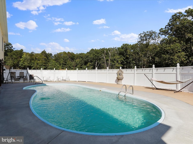 view of pool with a patio area