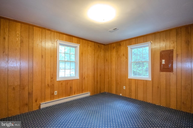 spare room featuring a wealth of natural light, wood walls, baseboard heating, and electric panel