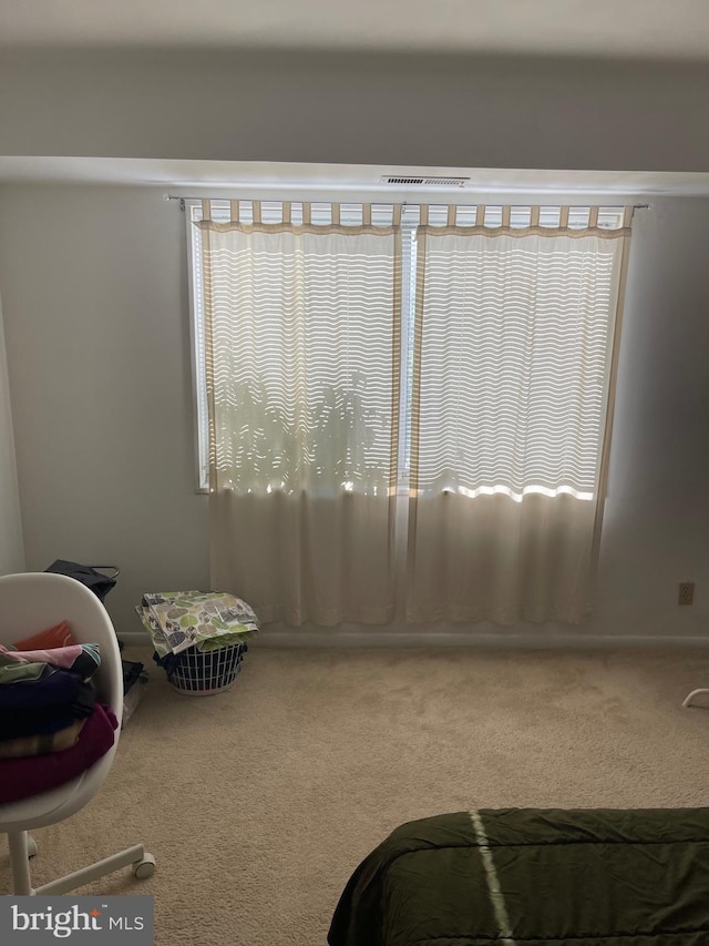 bedroom featuring carpet floors