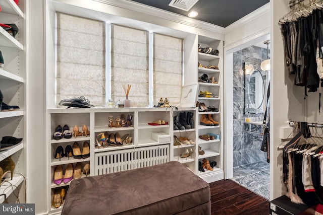 walk in closet with wood finished floors and visible vents