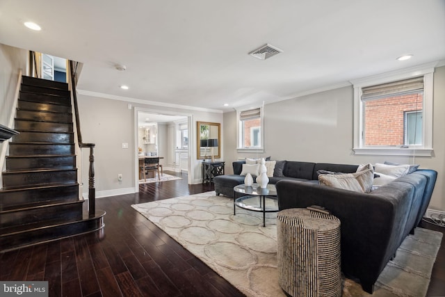 living room with dark wood-type flooring and crown molding