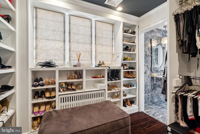 walk in closet with wood-type flooring and radiator heating unit