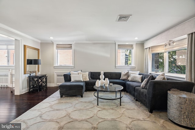 living room featuring crown molding and dark hardwood / wood-style flooring