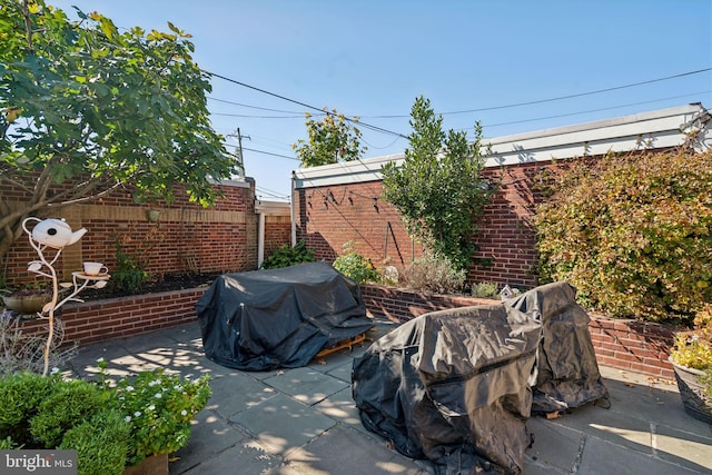 view of patio / terrace with area for grilling