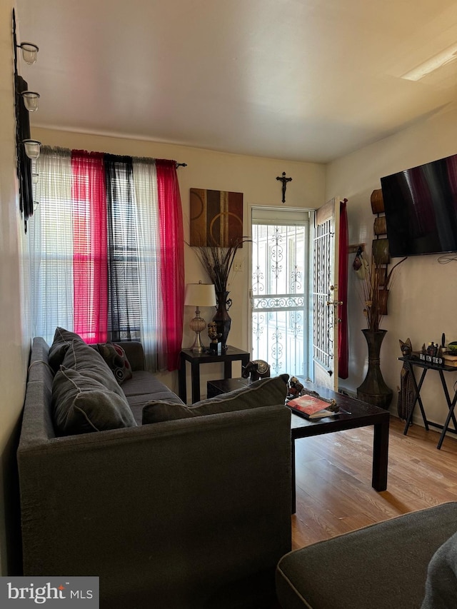 living room with hardwood / wood-style flooring