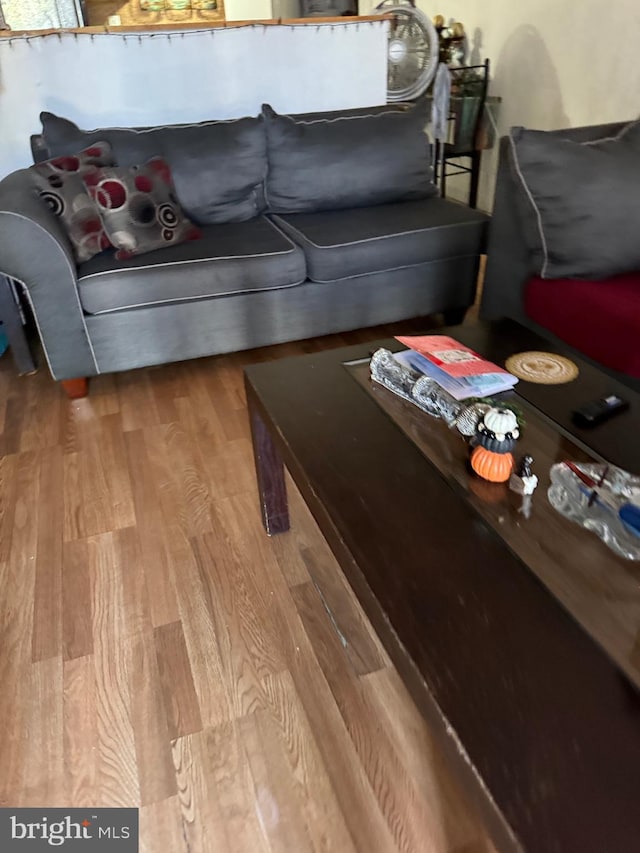 living room with hardwood / wood-style flooring