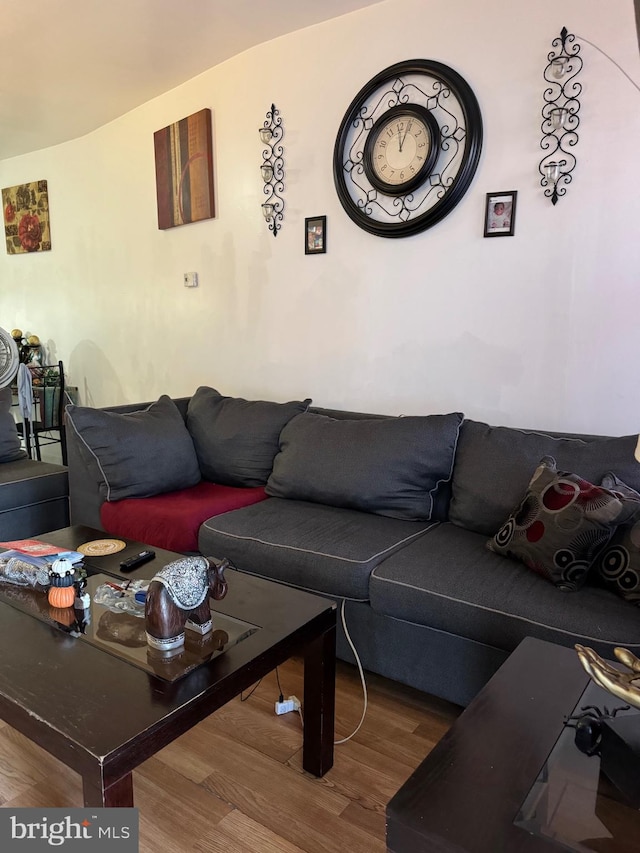 living room featuring hardwood / wood-style floors