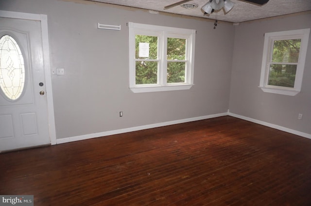 foyer featuring ceiling fan, dark hardwood / wood-style floors, and a healthy amount of sunlight