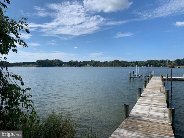 dock area featuring a water view