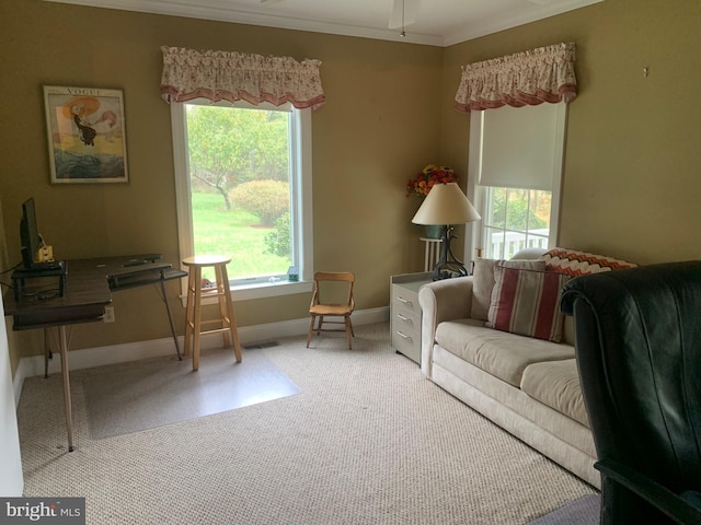 carpeted living room featuring crown molding